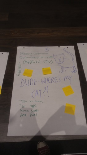 Dude, where's my cat?