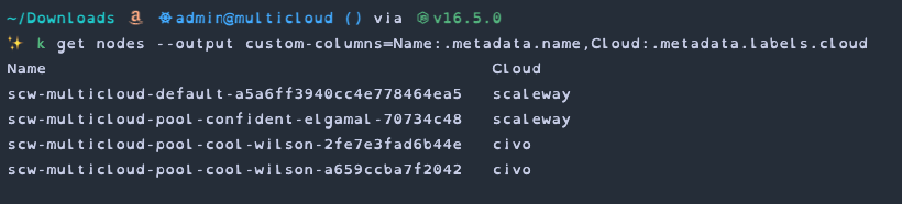 Kubectl showing all nodes and their cloud label